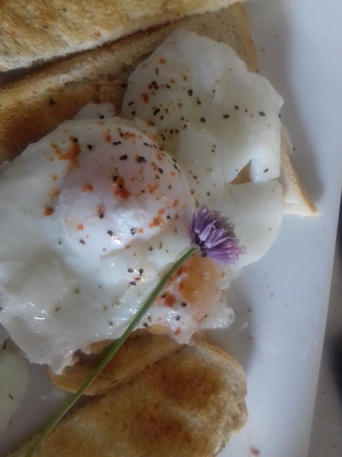 Westhouse Cafe N39 E0A6 Bed & Breakfast Longford Luaran gambar